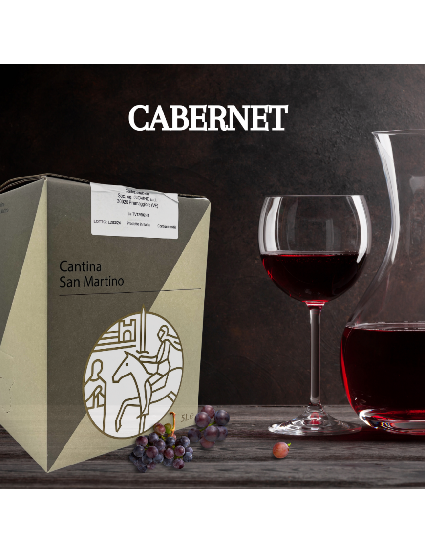 CABERNET MARCA TREVIGIANA IGT - 5 Litri