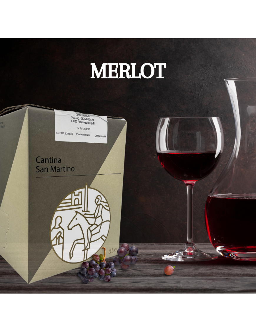 MERLOT - MARCA TREVIGIANA IGT 5 Litri in Bag in Box